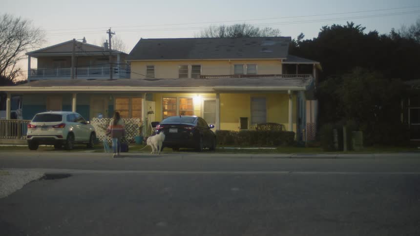 Woman and her white labrador dog walking home at sunset