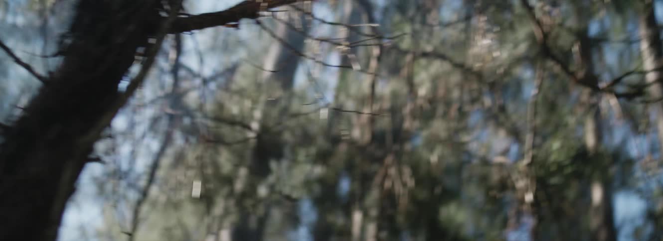 Spinning camera movements of smoke rising from trees in a wooded area during the fall season
