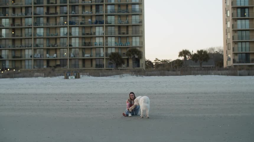 Woman sits on sand putting on sneakers taking time to pet dog