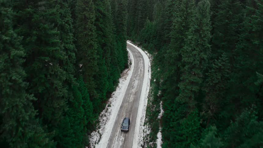 A black van travels on a forest road with snow along the roadside