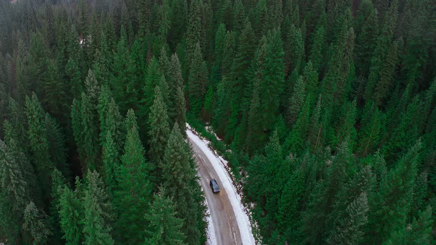 A black van travels on a forest road