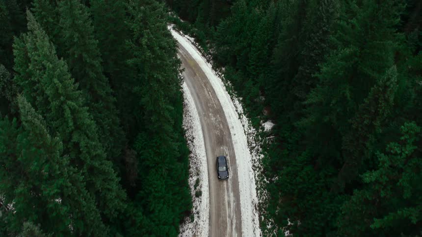Aerial view of a vehicle driving down a road through the pine tree forest