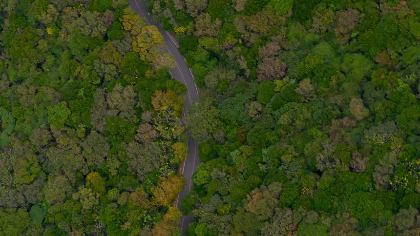 A car travels on a curving road through trees with leaves starting to change