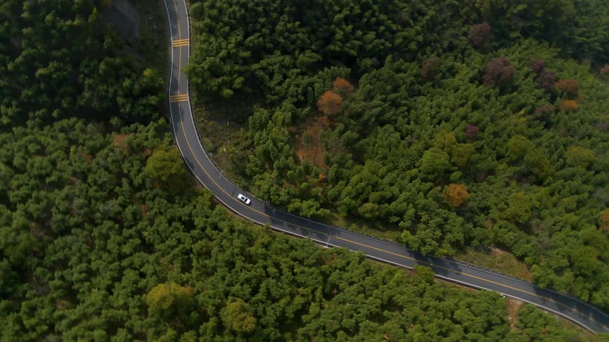A vehicle driving on a road surrounded by trees