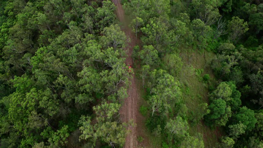 Aerial view of a red car traveling on a forest road
