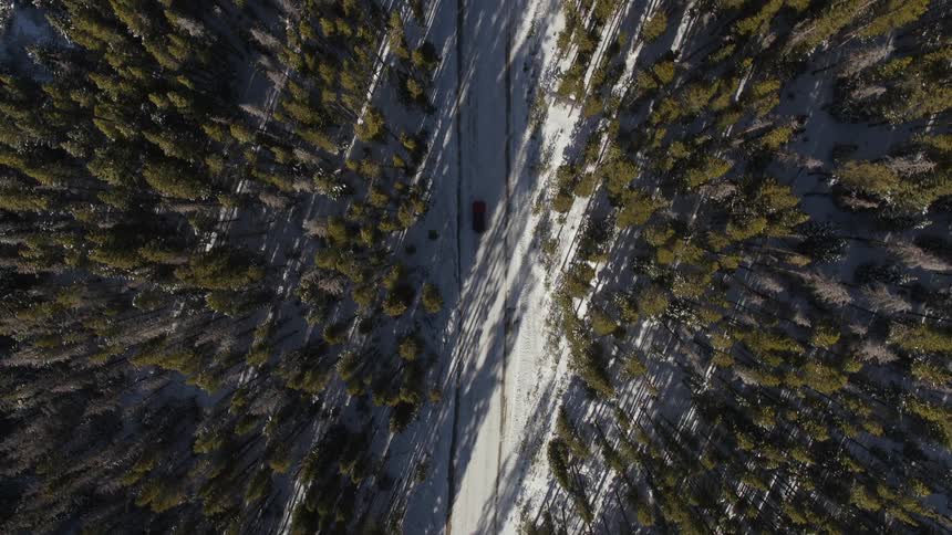 A vehicle is traveling on the small forest path