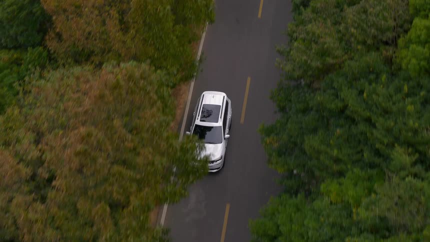 A vehicle travels along a road through a forest during the day