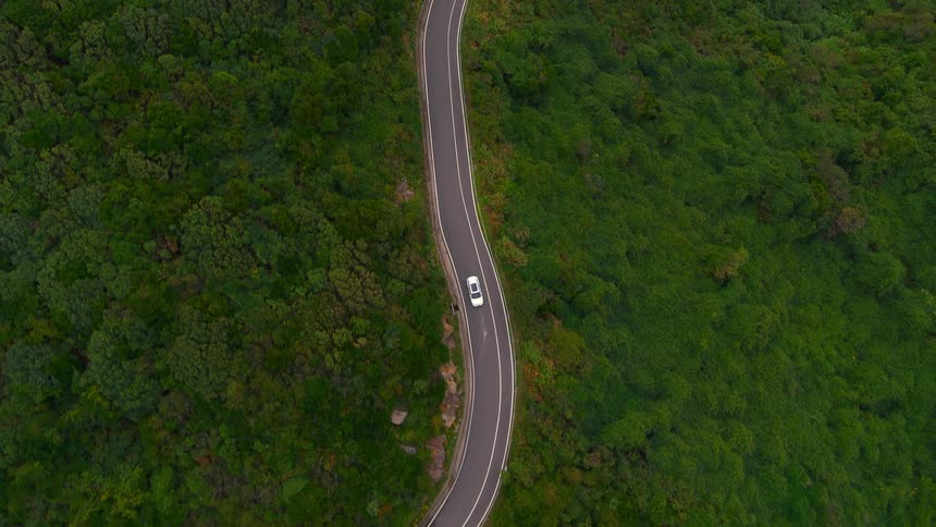 Aerial view of a white car traveling on a road surrounded by trees