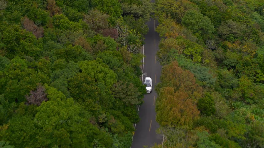 An aerial view of a minivan traveling on a road surrounded by forest trees during the fall season