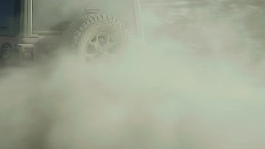 The back of a jeep as it drives past trees