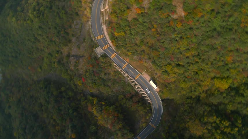 A vehicle driving on a road surrounded by trees
