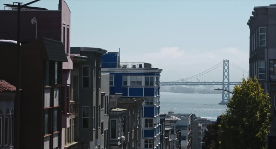 A bridge is in the water past the city