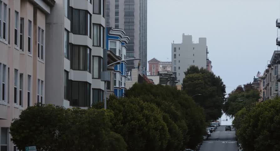 Buildings along a road in a metropolis during the day