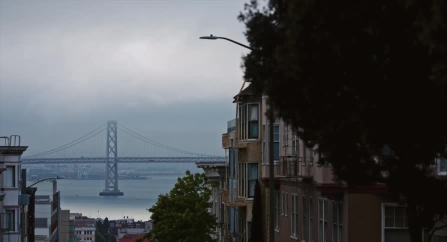 A city with buildings and trees with a river a bridge the sky and clouds in the background
