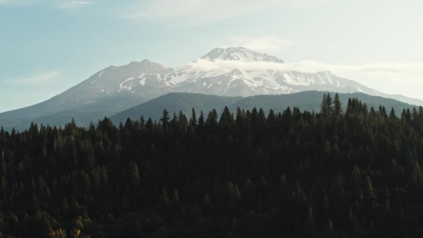 A forest with trees with a mountain range the sky and clouds in the background