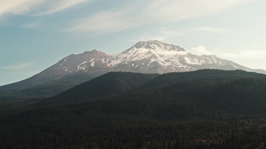 A snow capped mountain looms over a vast evergreen forest under a clear daytime sky