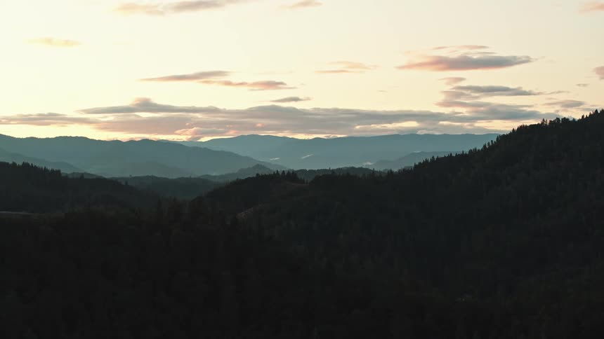 The sun is setting in the horizon of a wooded area