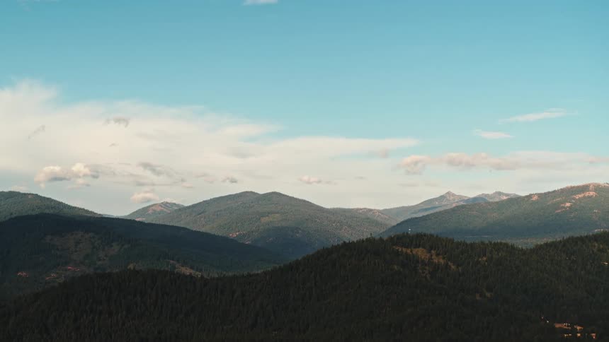 Trees cover nearly the entire surface of a vast mountain range