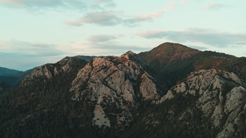 Green trees and brush on a rocky mountain ridge