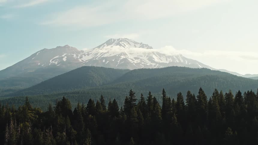 A forest with trees with a mountain range the sky and clouds in the background