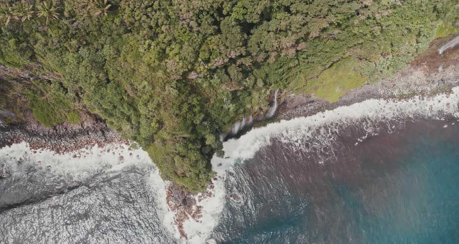 A cliff covered in vegetation above the ocean during the day