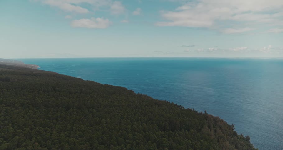 Aerial view of forest covering a cliff on the coast next to the ocean