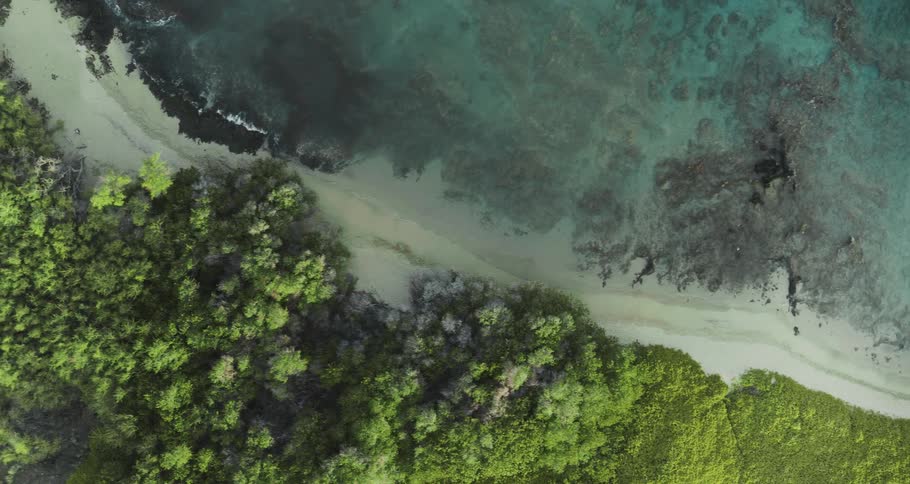 A sandy coastline on the ocean during the day