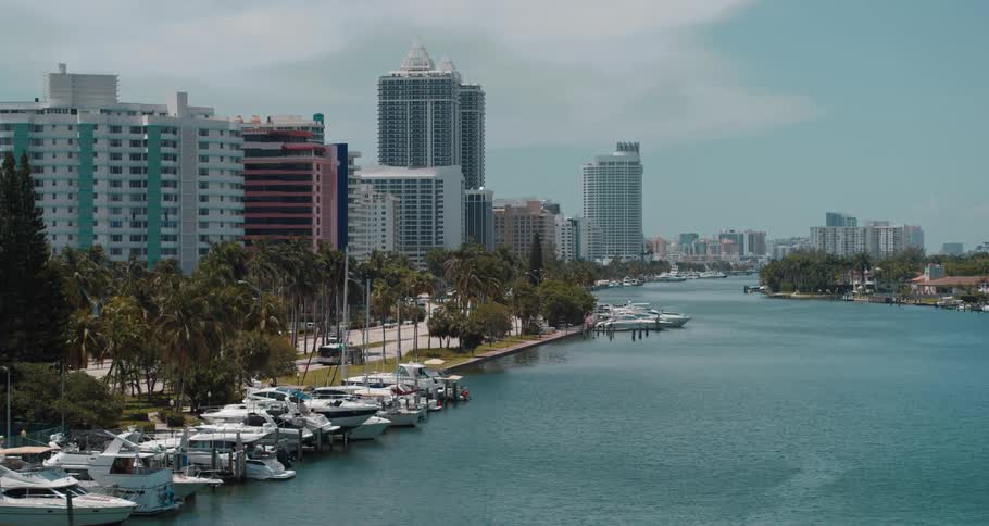 Boats moored on the coast of a river near the skyline of a coastal city