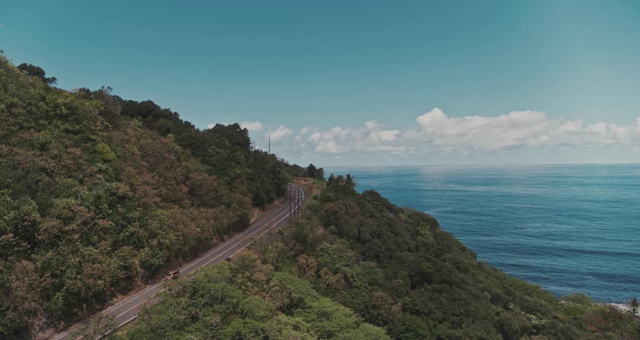 An automobile travels on a heavily forested mountain road overlooking an ocean