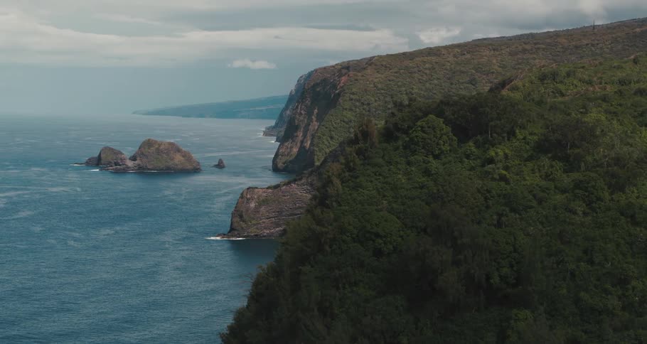 Ocean waves crash onto the shore of a tall cliff covered in trees