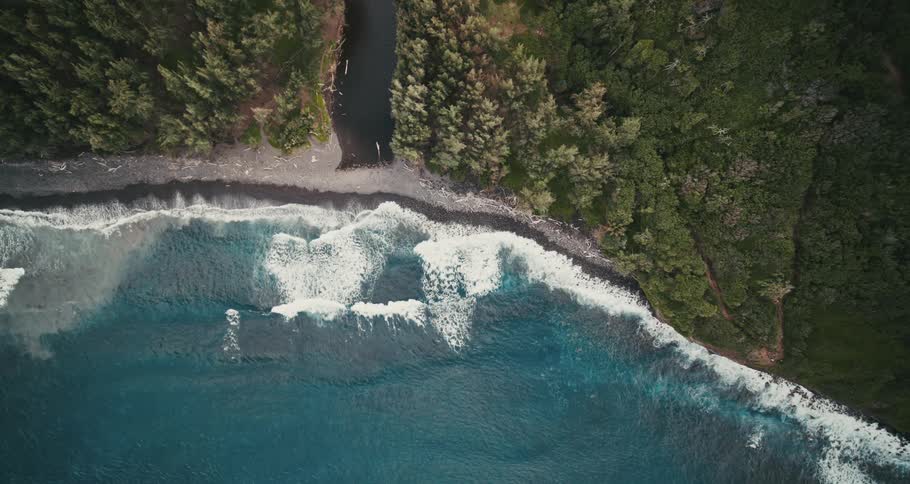 Blue ocean waves roll to a tree covered shore