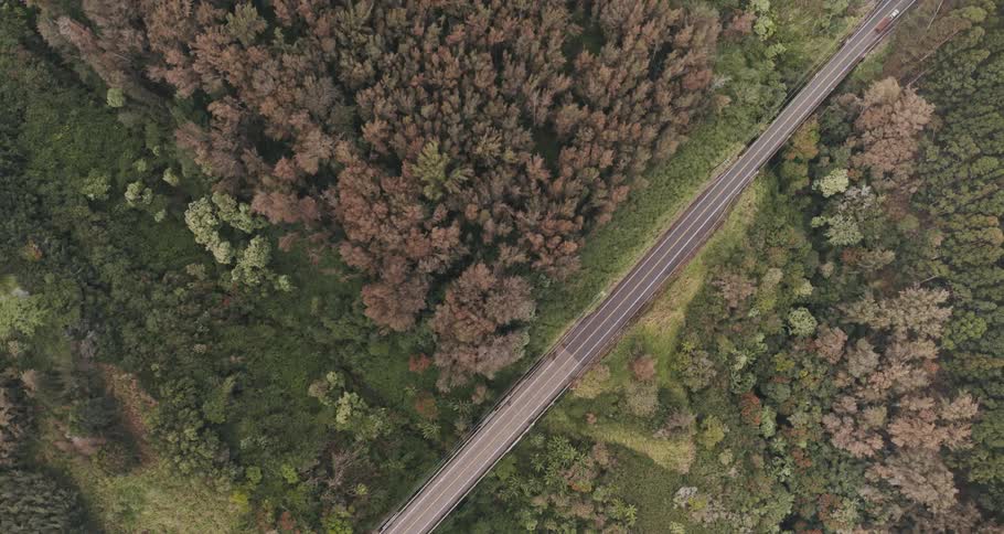 Aerial view of cars driving through a wooded area is displayed