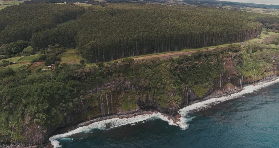 An aerial view of the coast with trees at it