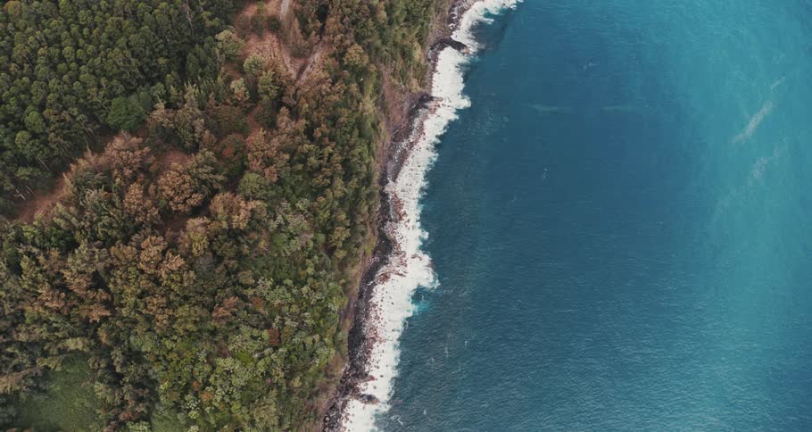 Waves hit the shore against a cliff with a thick forest