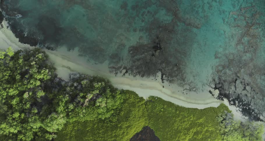 Aerial view of a seaside coastline as waves roll over the sand