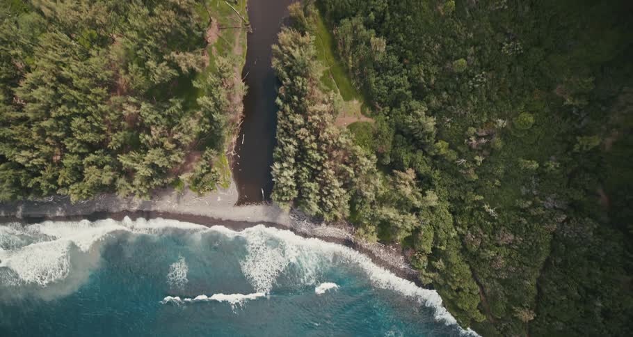 Top down aerial view of the forest near the coast