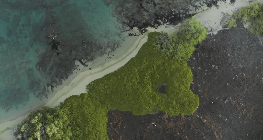 Ocean waves come to a sandy shore with green trees and barren land behind