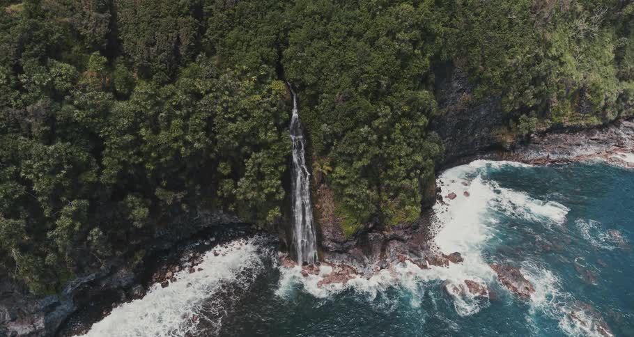 A waterfall is flowing down a rock cliff surrounded by forest and into the ocean