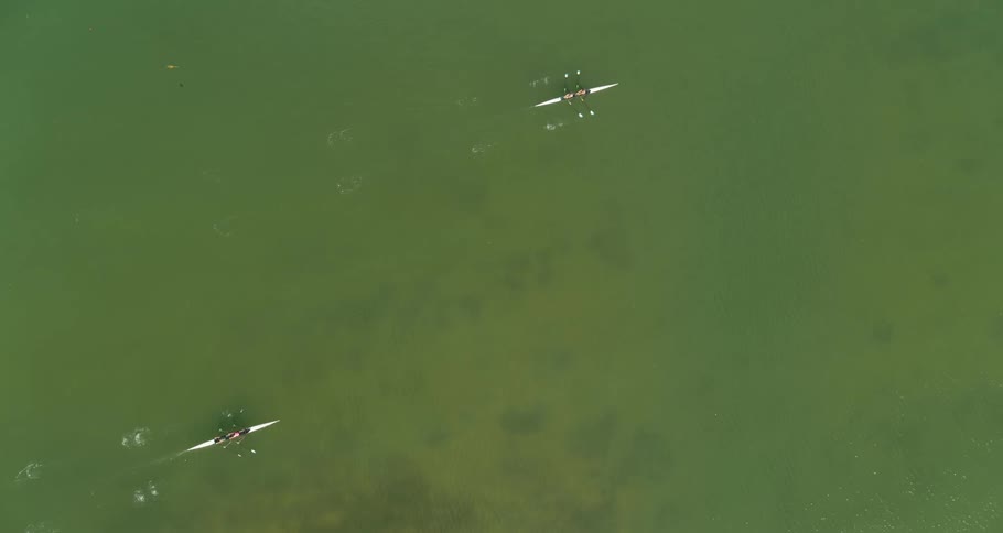 People paddling in kayaks on water