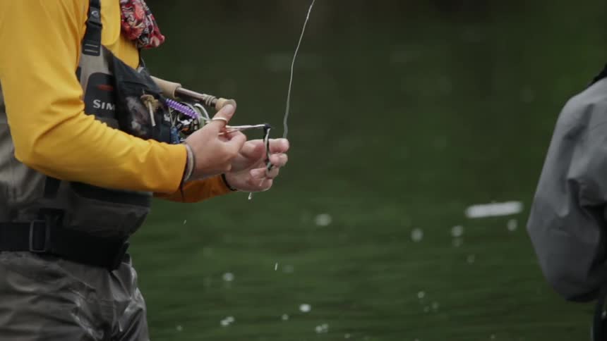 A man releases a very large fish into the water
