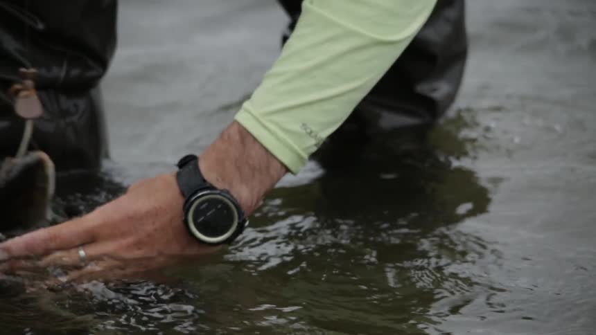 A hooked fish flops around while a fisherman removes it from the water