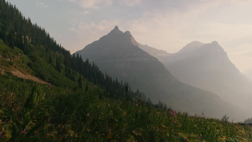 A gentle wind blows through trees that line the slope of a mountain