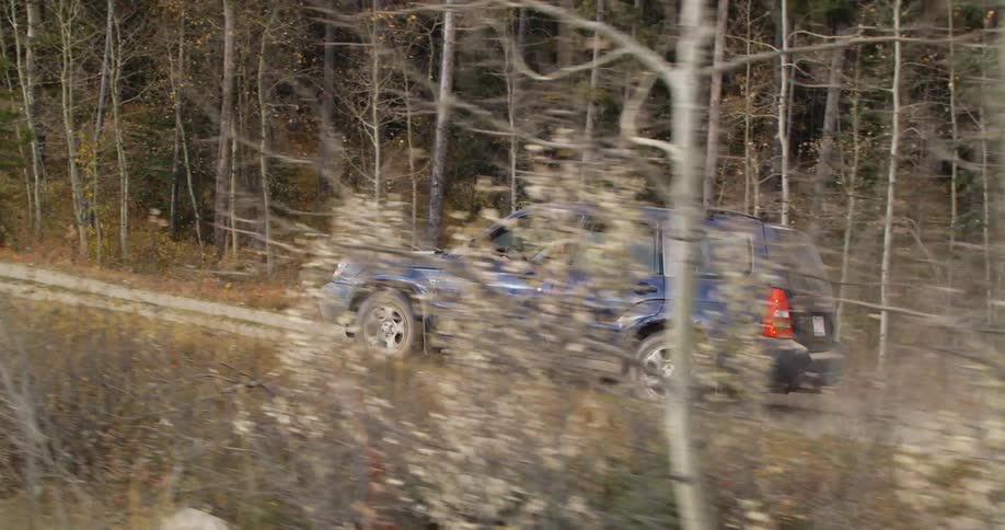 A man drives a vehicle along a dirt road next to a forest during the day