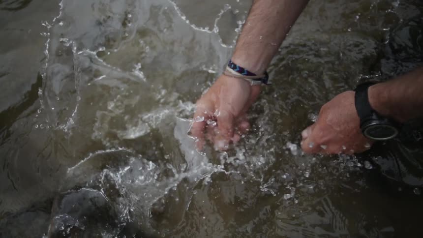 A man lets a fish go in the water