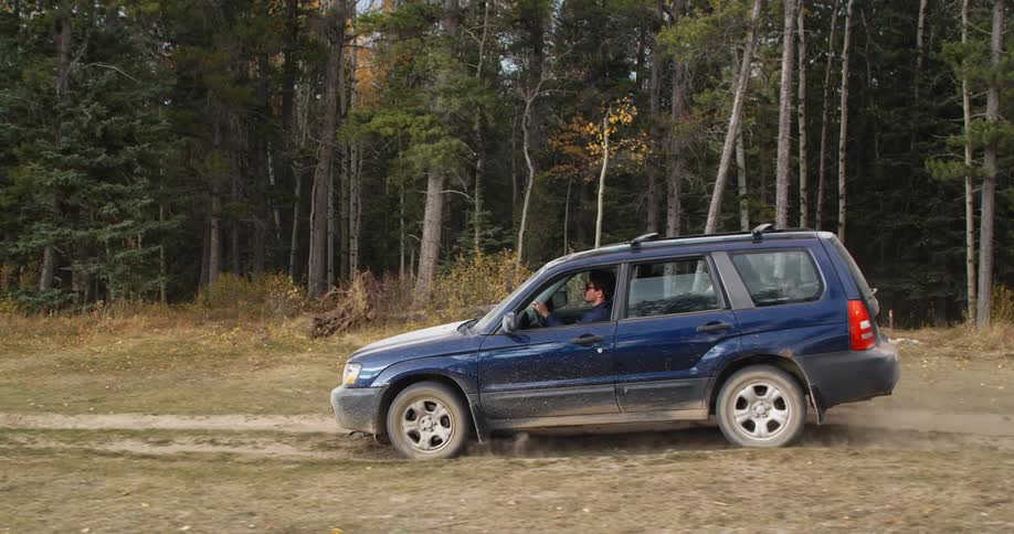 Dark blue truck travels on a forest road