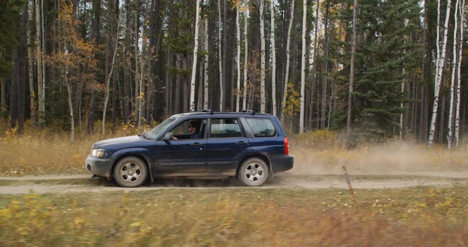 A view of a car driving outdoors in a forest