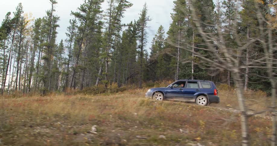 Dark blue truck travels on a forest road