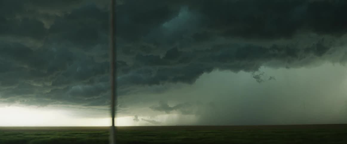 Storm front flows across field as bird flies in opposite direction