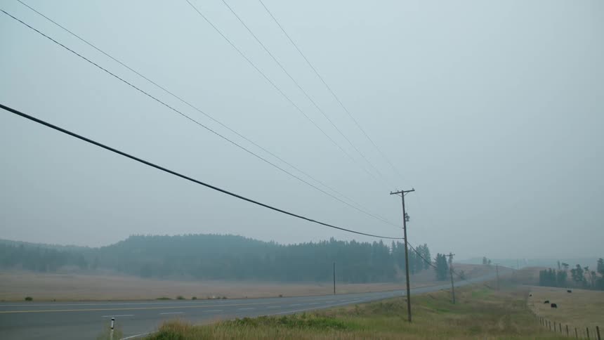 Road passes between field cattle pasture and forest on smokey day