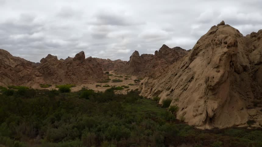 Trees and plants among mountainous rock formations and peaks high in a cloudy sky